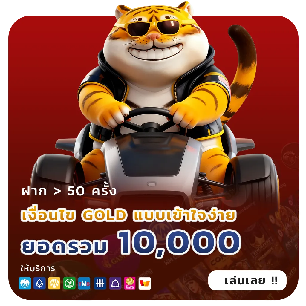 ฝาก-ถอน z-16