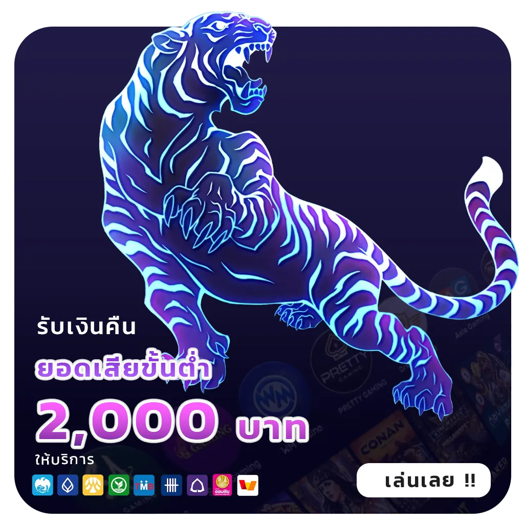 z-16 เว็บตรง
